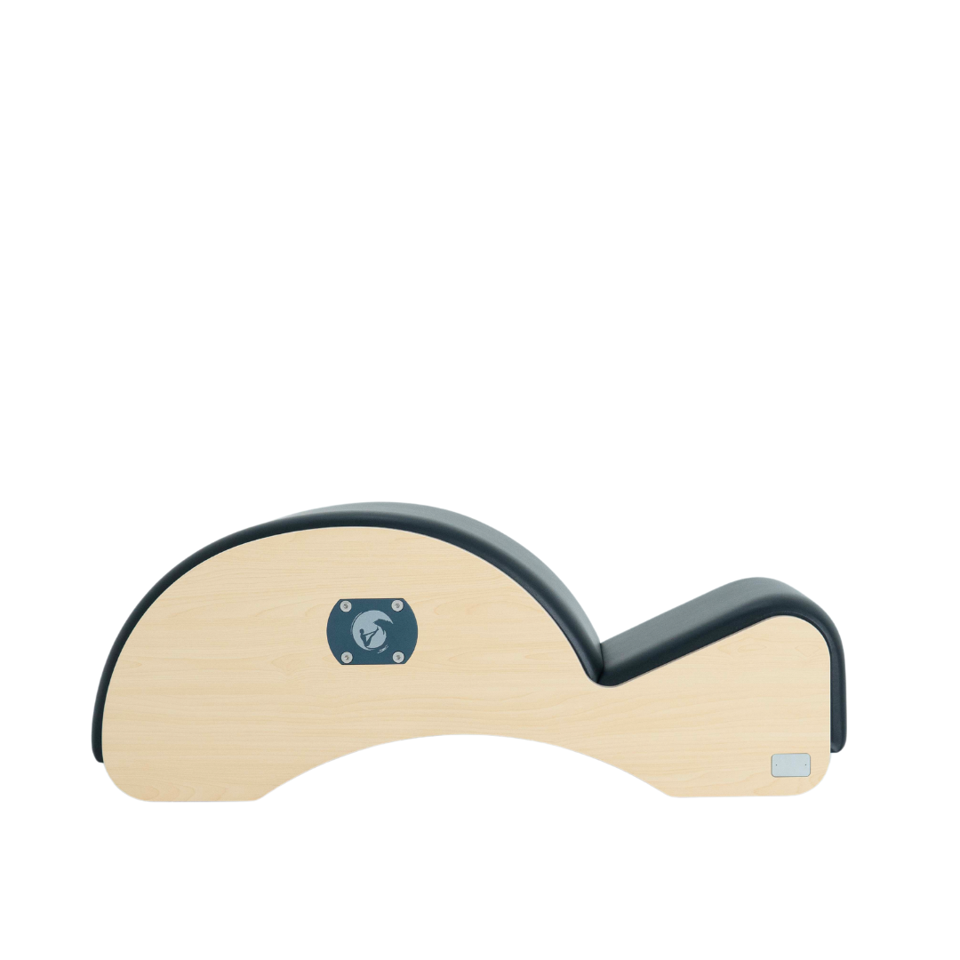 Spine Corrector Premium