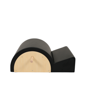 Spine Corrector Pro Max